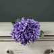 Tintagel Hydrangea Lavender