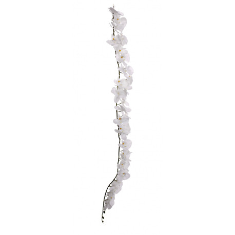 White Orchid Garland (135cm)