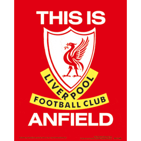 Liverpool FC 3D Print