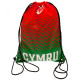 FA Wales Fade Gym Bag