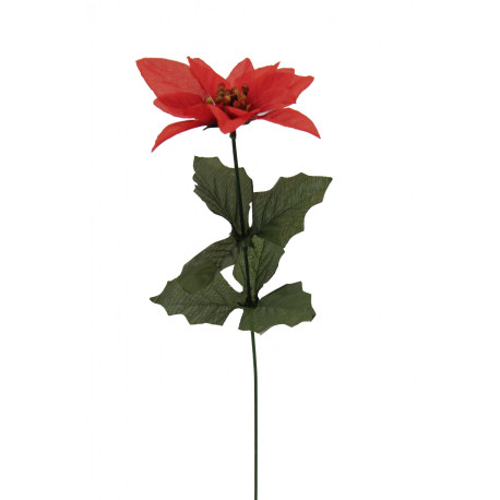 Single Stem Poinsettia Red (x12)