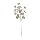 Champagne Ginkgo Glitter Stem (H70cm)