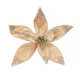 Champagne Velvet Poinsettia Organza with Clip (Dia20cm)