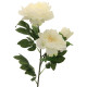 Three Peony  Cream 82cm