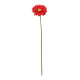 Red Gerbera Stem (72cm)