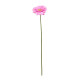 Pink Gerbera Stem (72cm)