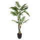 Palm Potted House Plant (130cm)