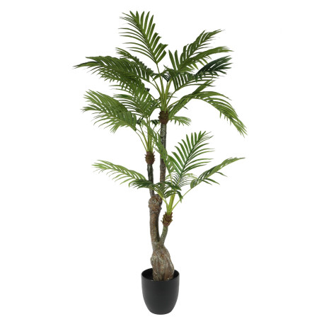 Palm Potted House Plant (130cm)