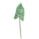 Single Syngonium Leaf (74cm)