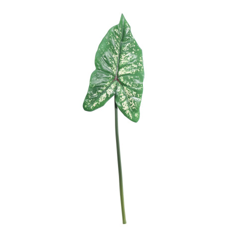 Single Syngonium Leaf (74cm)