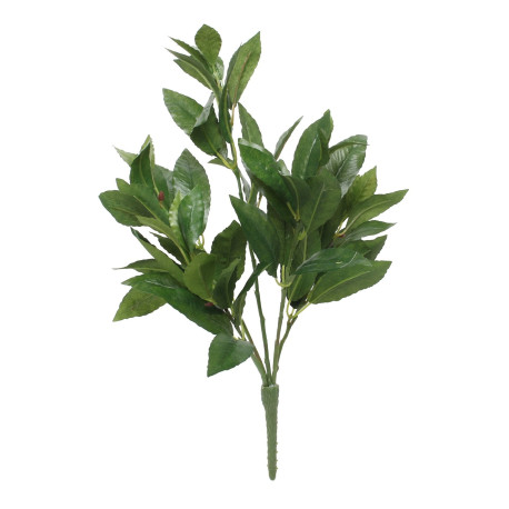 Bay Leaf Spray (18inch)