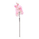 Pink Apple Blossom Stem