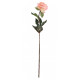 68cm Single Peach Peony