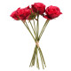 Rose Bundle Red