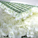 White Hydrangea Flower Wall Panel 40 x 60cm