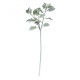 Long Stem Dusty Miller Spray Grey/green