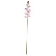 Dainty Orchid Blush Pink