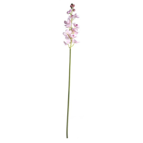 Dainty Orchid Blush Pink