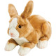 Yomiko Resting Beige &amp; White Rabbit Medium