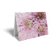 Spray Pink Chrysanthemum Folded Card (pack of 25)