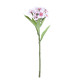 Pink Dianthus (32cm)