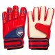 Arsenal FC Delta Goalkeeper Gloves Yths