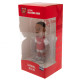 Arsenal FC MINIX Figure 12cm Jesus