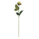 Diamond Rose Light Green (40cm)