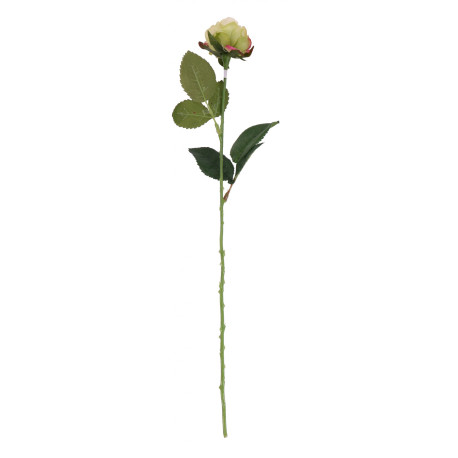 Diamond Rose Light Green (40cm)