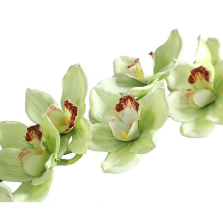 36inch Real Touch Large Cymbidium Green