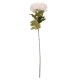 Cream Chrysanthemum Flower 75cm