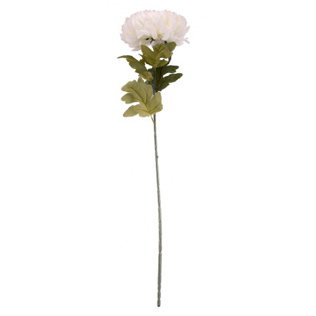 Cream Chrysanthemum Flower 75cm