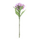 Purple Dianthus (32cm)