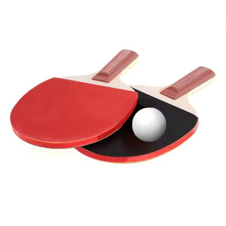 2 Pack Table Tennis Racket and 1 Ball