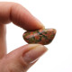 24x Small African Tumble Stones - Unakite