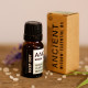 Sleep Easy Essential Oil Blend - Boxed - 10ml