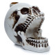 Skull with Open Mouth Backflow Incense Burner