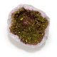 Coloured Calsite Geodes - Natural Rock - Pink &amp; Gold