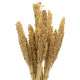 6x Cantal Grass Bunch - Natural