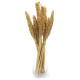 6x Cantal Grass Bunch - Natural