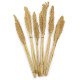 6x Cantal Grass Bunch - Natural