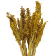 6x Cantal Grass Bunch - Amber