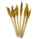 6x Cantal Grass Bunch - Amber