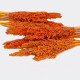 6x Cantal Grass Bunch - Orange