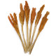 6x Cantal Grass Bunch - Orange