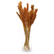 6x Cantal Grass Bunch - Orange