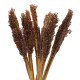 6x Cantal Grass Bunch - Chocolate