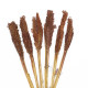 6x Cantal Grass Bunch - Chocolate