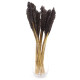 6x Cantal Grass Bunch - Black