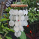 Pearl Effect &amp; Driftwood Cross Chime